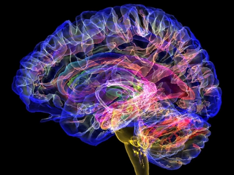 免费草逼视频网大脑植入物有助于严重头部损伤恢复